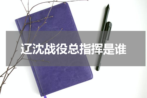 辽沈战役总指挥是谁