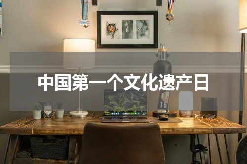 中国第一个文化遗产日