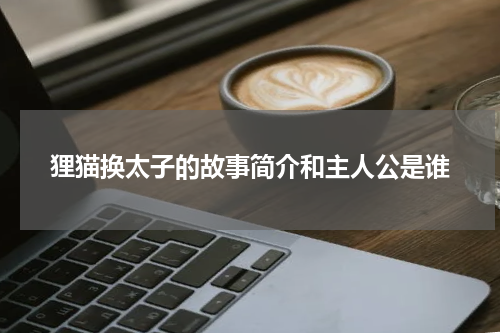 狸猫换太子的故事简介和主人公是谁