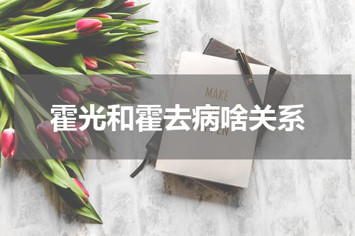 霍光和霍去病啥关系