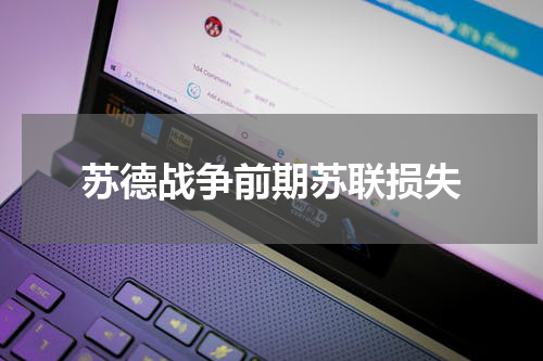 苏德战争前期苏联损失