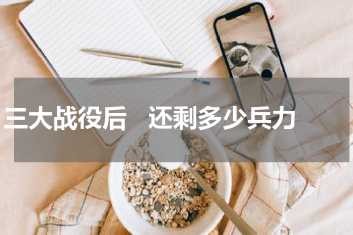 三大战役后   还剩多少兵力