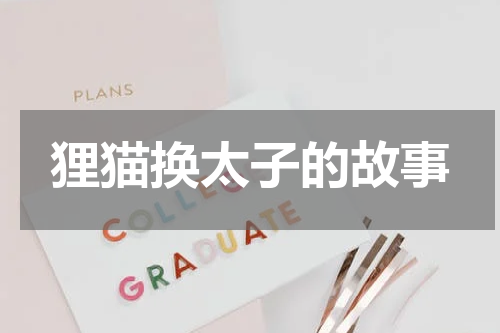狸猫换太子的故事