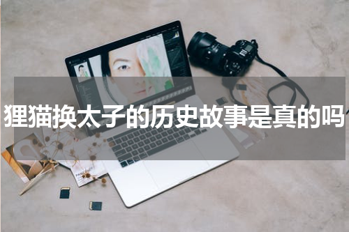 狸猫换太子的历史故事是真的吗