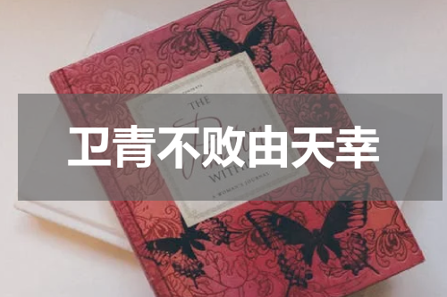 卫青不败由天幸