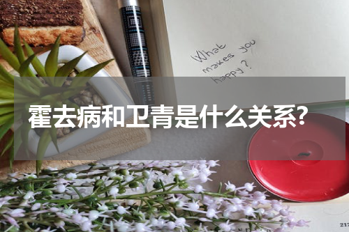 霍去病和卫青是什么关系?