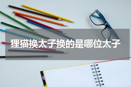 狸猫换太子换的是哪位太子