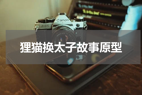 狸猫换太子故事原型