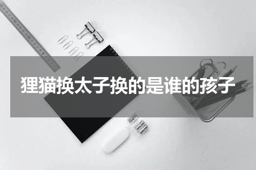 狸猫换太子换的是谁的孩子