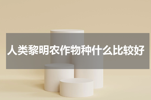 人类黎明农作物种什么比较好
