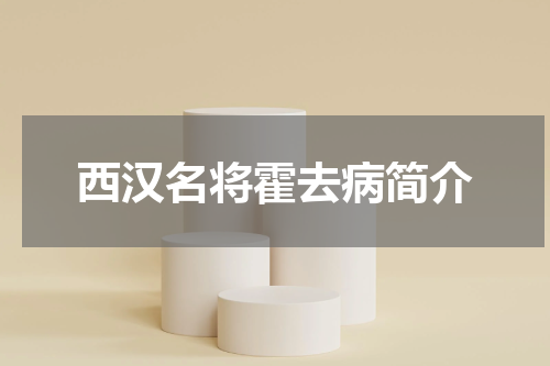 西汉名将霍去病简介