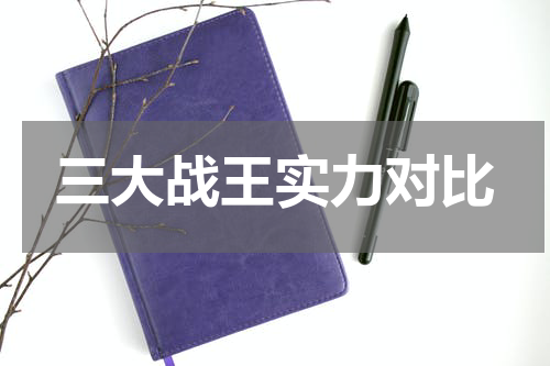 三大战王实力对比