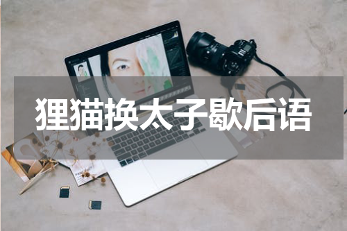 狸猫换太子歇后语