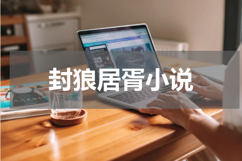 封狼居胥小说