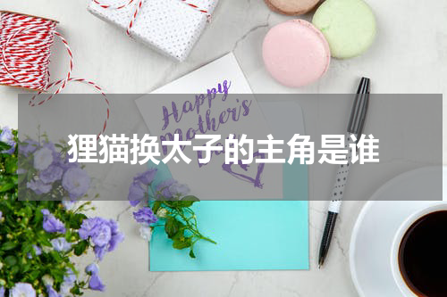狸猫换太子的主角是谁
