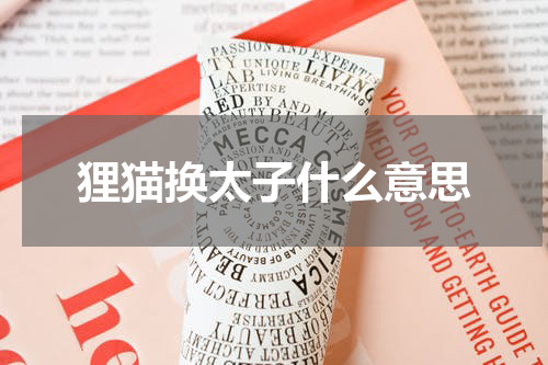 狸猫换太子什么意思