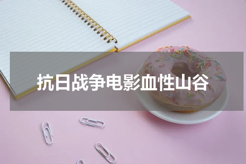 抗日战争电影血性山谷