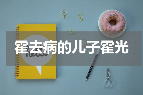 霍去病的儿子霍光