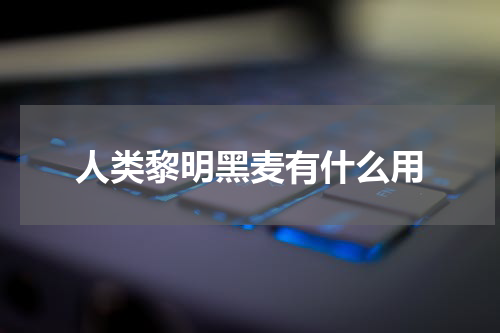 人类黎明黑麦有什么用