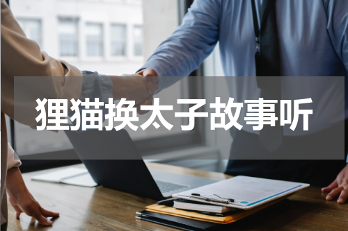 狸猫换太子故事听