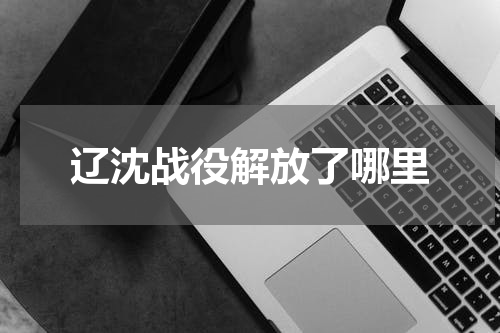 辽沈战役解放了哪里