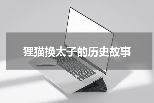 狸猫换太子的历史故事