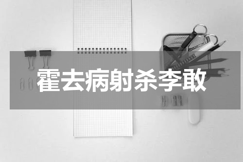 霍去病射杀李敢