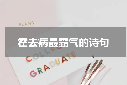 霍去病最霸气的诗句
