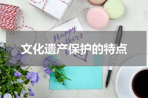 文化遗产保护的特点