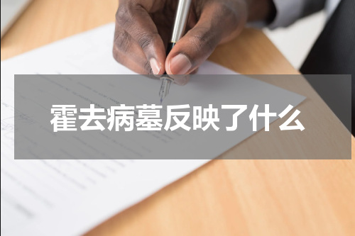 霍去病墓反映了什么