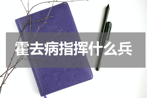 霍去病指挥什么兵