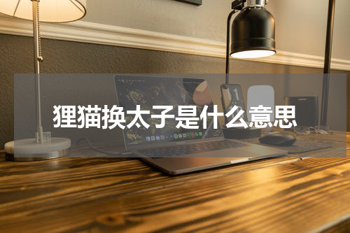 狸猫换太子是什么意思