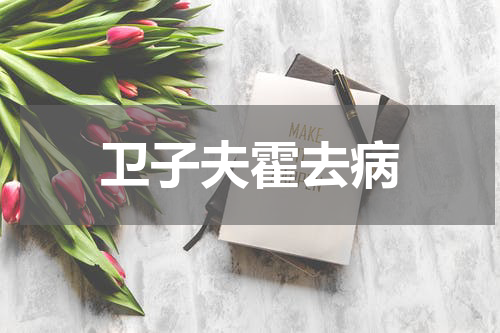 卫子夫霍去病