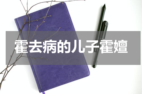 霍去病的儿子霍嬗