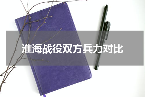 淮海战役双方兵力对比