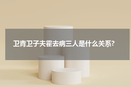 卫青卫子夫霍去病三人是什么关系?