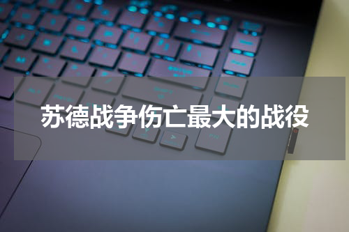 苏德战争伤亡最大的战役