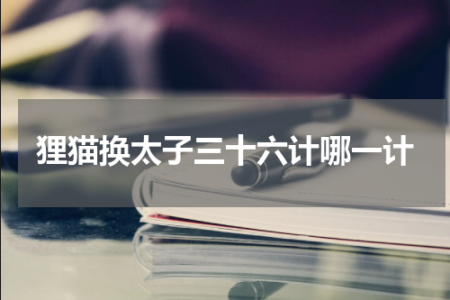 狸猫换太子三十六计哪一计