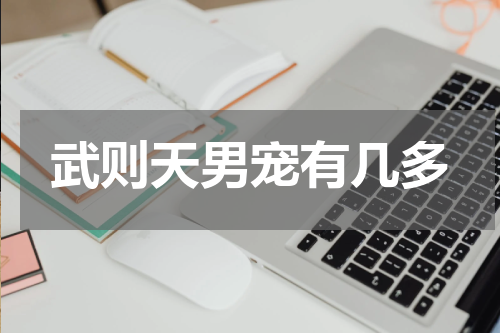 武则天男宠有几多