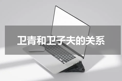 卫青和卫子夫的关系