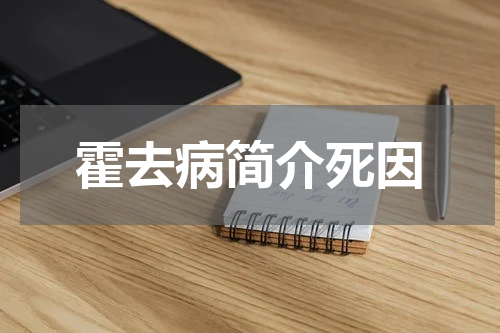 霍去病简介死因