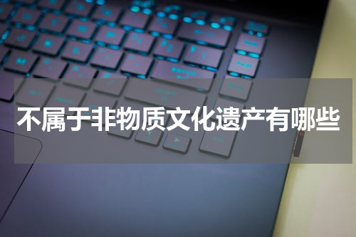 不属于非物质文化遗产有哪些