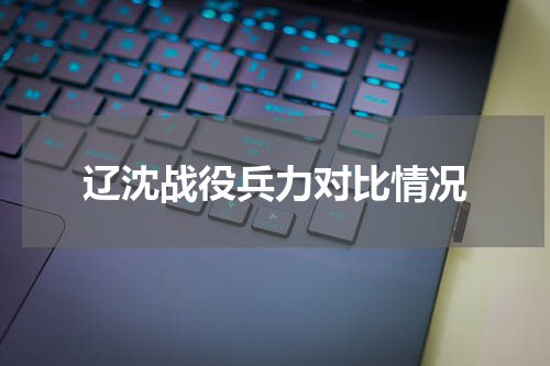 辽沈战役兵力对比情况