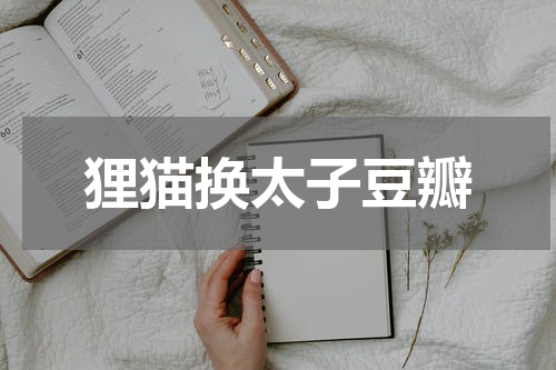 狸猫换太子豆瓣