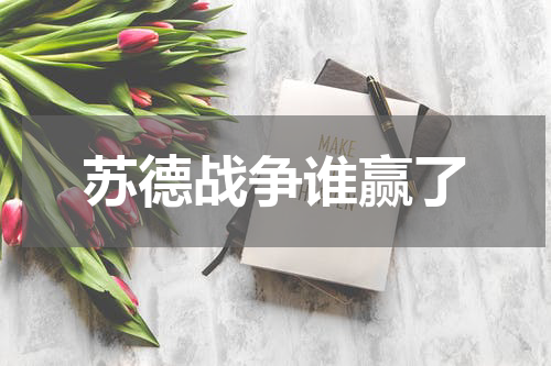 苏德战争谁赢了