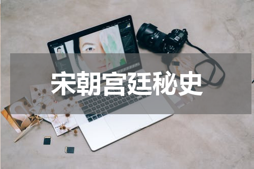 宋朝宫廷秘史