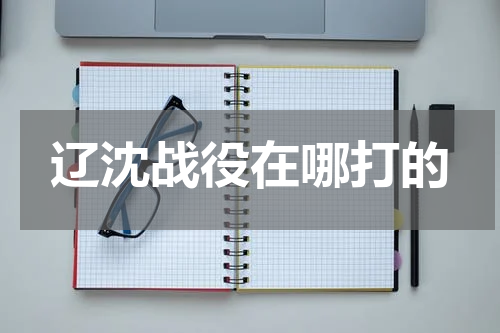 辽沈战役在哪打的