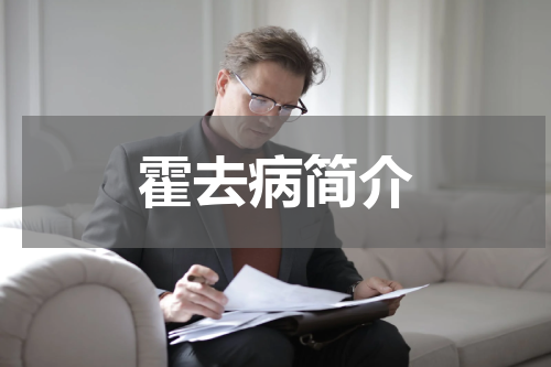 霍去病简介