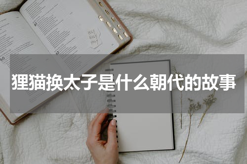 狸猫换太子是什么朝代的故事