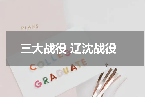 三大战役 辽沈战役